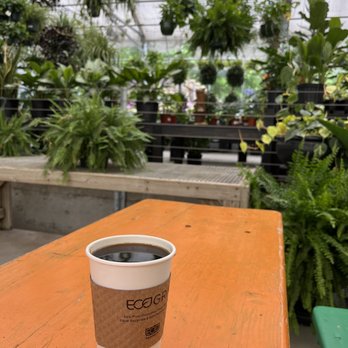 Mettowee Mint - The new improved coffee gathering spot? - Coffee & Tea Near Me - Dorset, Vermont