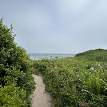 Clay Head Trail - Trail to beach - Hiking Near Me Clay Head Trail - Trail to beach - Hiking Near Me