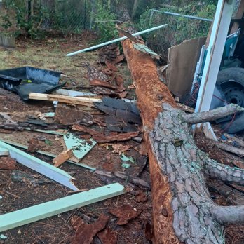 Tree Ninja Tree Service - Tree Services Near Me Tree Ninja Tree Service - Tree Services Near Me