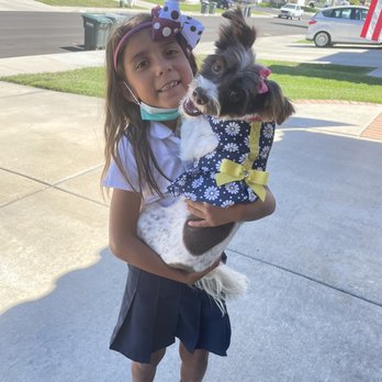 Couture Pet Grooming - Pet Groomers Near Me - Lake Elsinore, California Couture Pet Grooming - Pet Groomers Near Me - Lake Elsinore, California