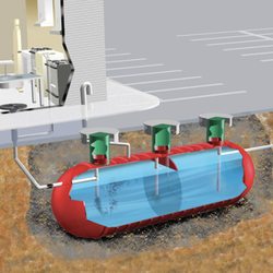 Ms Bell’s Services