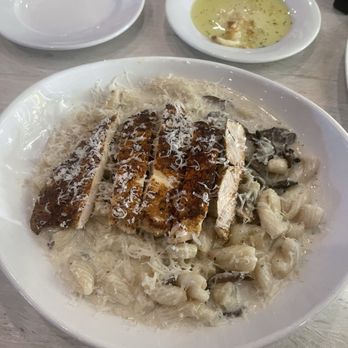 BellaBrava - Tampa - Black Truffle Pasta w/ blackened chicken - Bars Near Me - Tampa, Florida