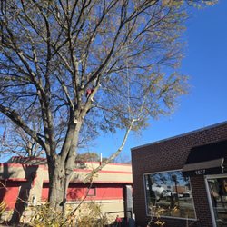 Silver Axe Tree Experts