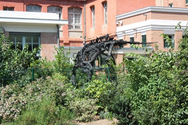 Jardin des Plantes by null