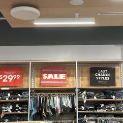 American Eagle Outfitters and Aerie