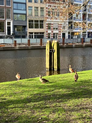 Wertheimpark by null