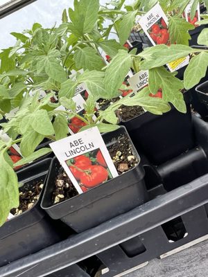 MEINKE GARDEN CENTER - Updated July 2025 - 73 Photos & 92 Reviews