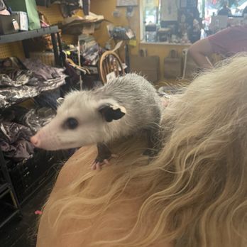 Possum-bilities - Gift Shops Near Me