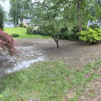 Zack's Tree Service - Tree Services Near Me - Stroudsburg, Pennsylvania Zack's Tree Service - Tree Services Near Me - Stroudsburg, Pennsylvania
