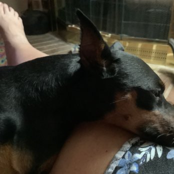 Pet Supplies Plus Katy East - Pet Groomers Near Me - Katy, Texas Pet Supplies Plus Katy East - Pet Groomers Near Me - Katy, Texas