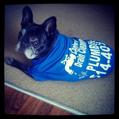 Central Arkansas Drain Cleaning & Plumbing