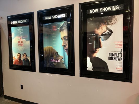 Cinema Village by null