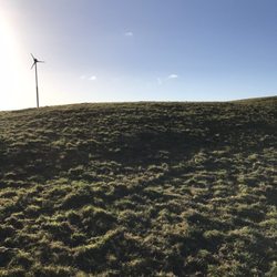Dodside Dog Runs