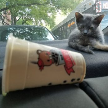 MooMooChaa - She wants me to pa ss her the pa tea - Bubble Tea Near Me - New York, New York MooMooChaa - She wants me to pa ss her the pa tea - Bubble Tea Near Me - New York, New York
