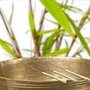 Healing Roots Herbal Medicine and Acupuncture