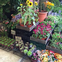 華景園藝 - Neat displays