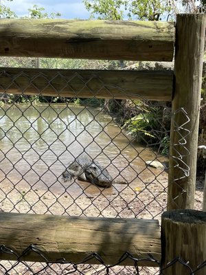 Everglades Outpost by null