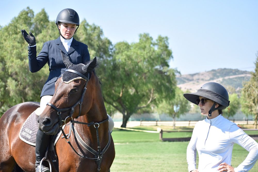 Wildling Equestrian - equestrian in Costa Mesa, CA