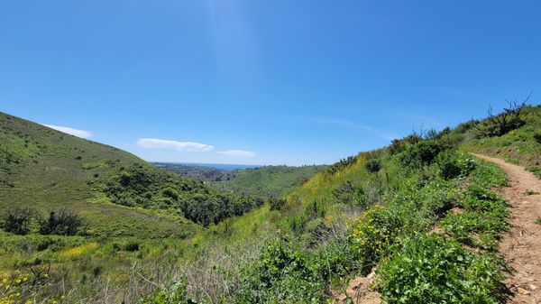 Zuma Canyon Trail by null