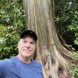 Aloha Eco Adventures - Me in front of a beautiful Rainbow Eucalyptus tree!