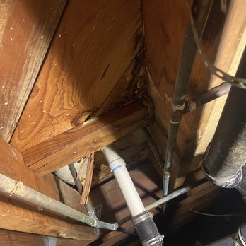 E-DRAINS - Plumbing Near Me - La Mesa, California E-DRAINS - Plumbing Near Me - La Mesa, California
