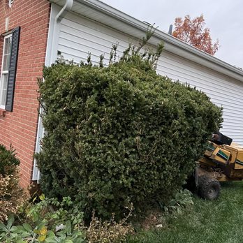 Stark's Lawn and Landscape - Before - Landscaping Near Me - Frankfort, Kentucky