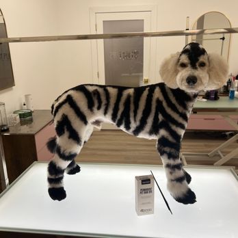 Lilly Pups Boutique - Pet Groomers Near Me - St. Cloud, Florida