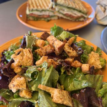Bread & Cie - Side salad and Turkey Pesto Panini - Bakeries Near Me - San Diego, California Bread & Cie - Side salad and Turkey Pesto Panini - Bakeries Near Me - San Diego, California