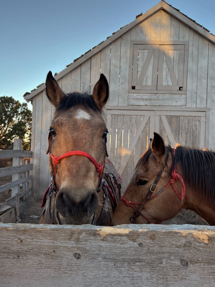 Four Sixes Santa Fe - equestrian in Santa Fe, NM