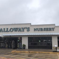 Calloway's Nursery