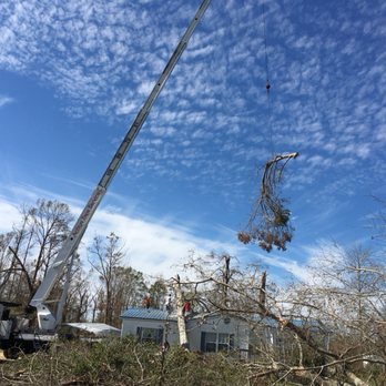 Action Tree Service - Lifting tree off house with crane - Tree Services Near Me - Birmingham, Alabama