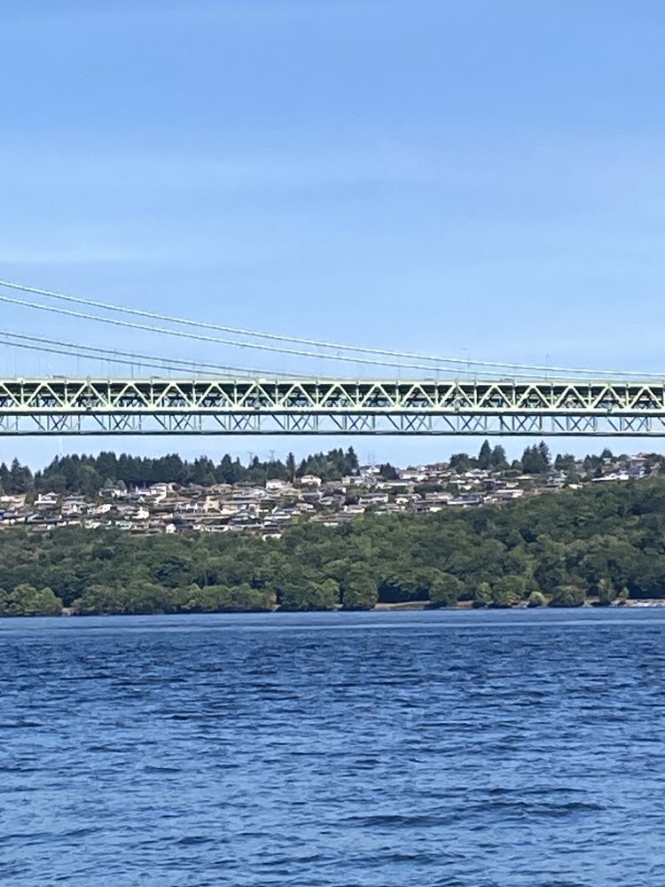 Narrows Park Logo