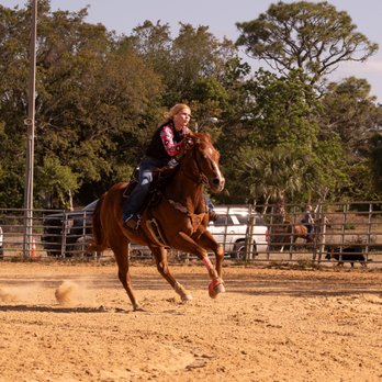 SF Performance Horses - Horseback Riding Near Me - Hudson, Florida SF Performance Horses - Horseback Riding Near Me - Hudson, Florida