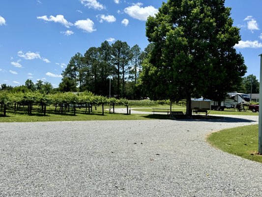 A Secret Garden Winery by null