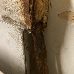 EEL Economic Restaurant Equipment - Doors and thresholds rusted beyond repair