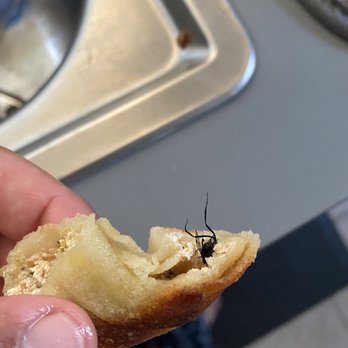 Sagra Pizza Bar - Bug in a garlic knot. - Pizza Near Me - Miami, Florida Sagra Pizza Bar - Bug in a garlic knot. - Pizza Near Me - Miami, Florida