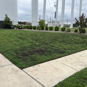 Turf Tech Lawn Repair - Landscaping Near Me - Kyle, Texas