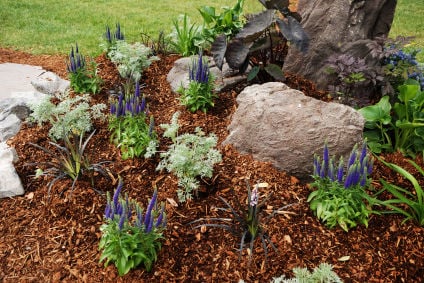 1 800 Mulch Pro Logo