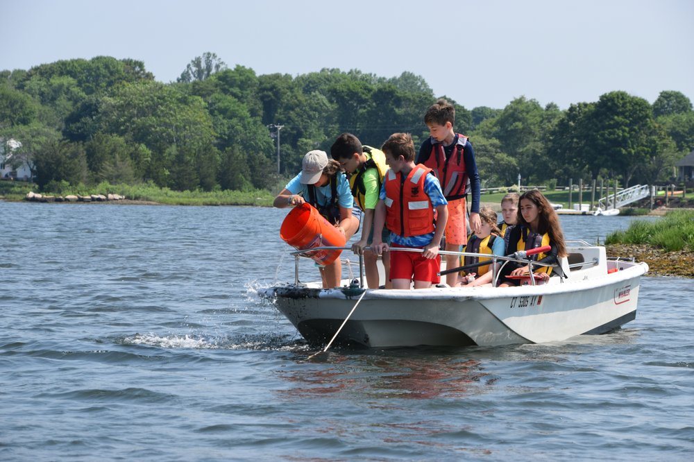 New England Science & Sailing Foundation Logo