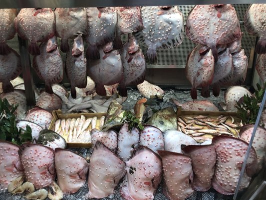 Balıkçı Kahraman by null