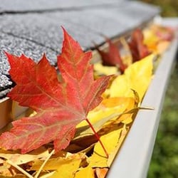 TX Gutters