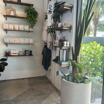 Composition Coffee - Coffee & Tea Near Me - West Palm Beach, Florida Composition Coffee - Coffee & Tea Near Me - West Palm Beach, Florida