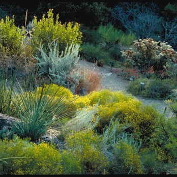 Planet Horticulture - Native plant garden in Berkeley - Landscaping Near Me - Tiburon, California Planet Horticulture - Native plant garden in Berkeley - Landscaping Near Me - Tiburon, California