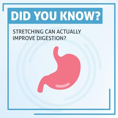 Stretch Zone by null