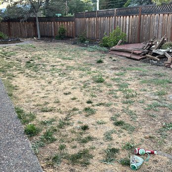 Universal Pavers And Landscaping - Old yard - Masonry/Concrete Near Me Universal Pavers And Landscaping - Old yard - Masonry/Concrete Near Me