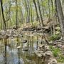 Photo of Bunker Hill Natural Area