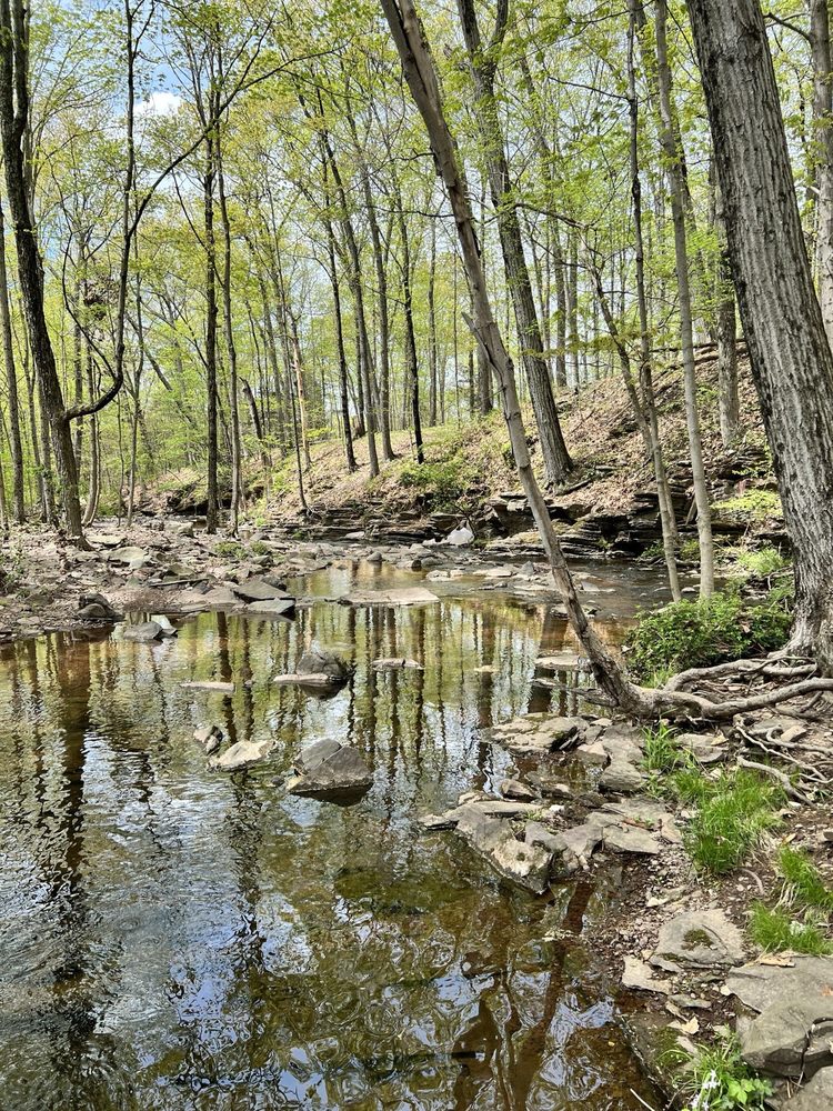 Bunker Hill Natural Area Image