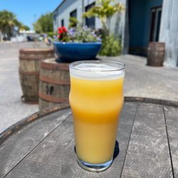Calusa Brewing - Citronious​ NEIPA w/ 100% Citra​ 6.5% ABV​ 55 IBU