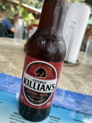 Tiki Bar & Grill by null