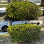 Photo of Green Escapes Lawn Mowing